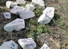 
                Иркутянин пытался нелегально перевезти через границу шесть тонн нефрита
                
            