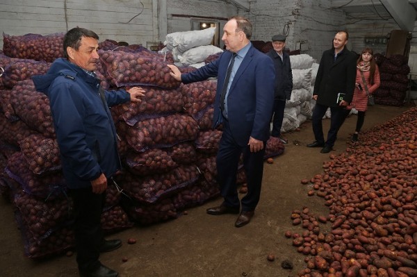 
				В Иркутском районе картофеля собрано на треть больше, чем в прошлом году			
