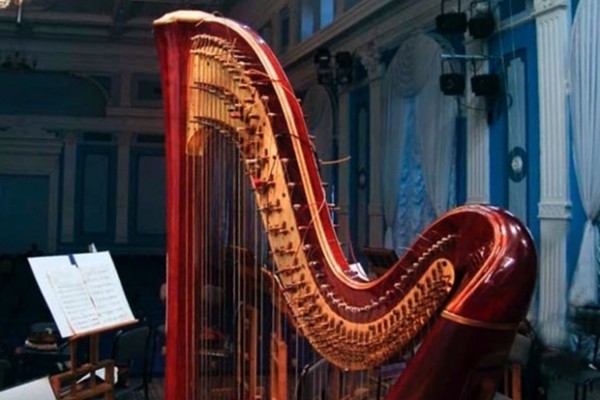 
            Концерт &laquo;Конёк-Горбунок&raquo; в Иркутской областной филармонии
            
        