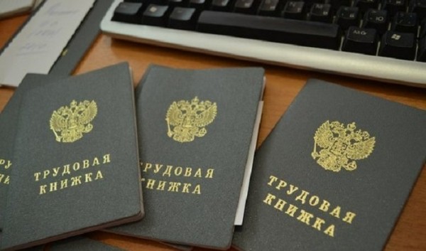 Более сотни работодателей организовали временные рабочие места в Иркутской области                            