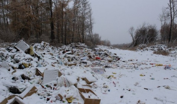 32&nbsp;несанкционированные свалки ликвидируют в&nbsp;2023&nbsp;году в&nbsp;Иркутской области                            
