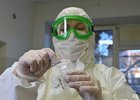 
                В Иркутской области за сутки подтвердили 132 случая заболевания COVID-19
                
            