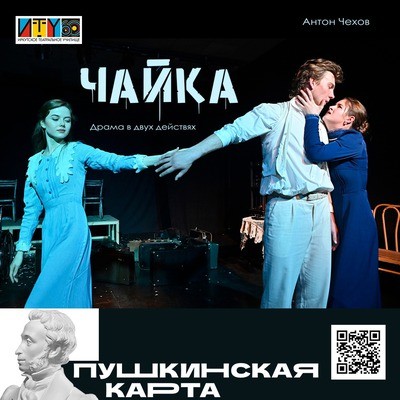 
            Чайка
            
        