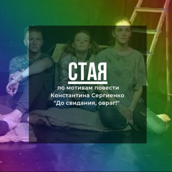 
            Стая
            
        