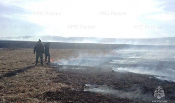 Установлен виновник лесного пожара в&nbsp;Баяндаевском районе                            