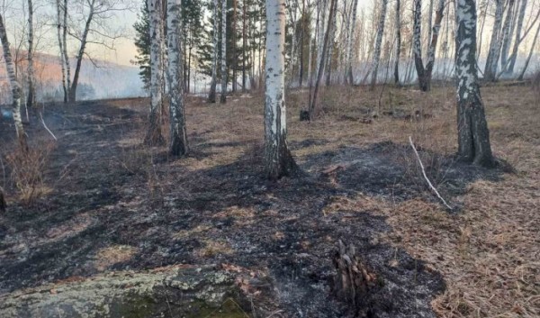 В Иркутской области потушили девять лесных пожаров                            