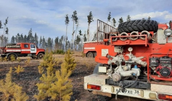 Десять вновь зарегистрированных лесных пожаров потушили в Иркутской области                            