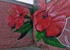 
                В Иркутске расписывают стены зданий во дворе Дома ветеранов
                
            