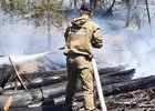 
                За сутки в лесах Иркутской области потушили семь пожаров
                
            