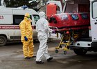 
                520 жителей Иркутской области заболели коронавирусом за неделю
                
            