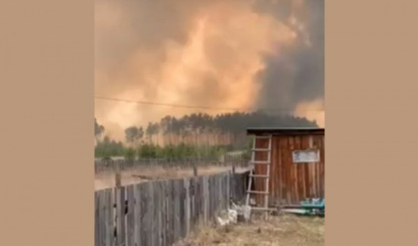 Крупный пожар в&nbsp;Усольском районе затронул два садоводства и&nbsp;детский лагерь (Видео)                            