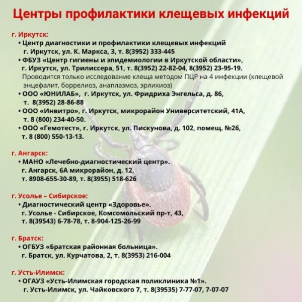 2 099 жителей Иркутской области пострадали от укусов клещей в этом году 2 099 жителей Иркутской области пострадали от укусов клещей в этом году