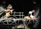 
                Иркутский театр кукол &laquo;Аистёнок&raquo; завершил сезон премьерой &laquo;Лети, Аистёнок, лети!&raquo;
                
            