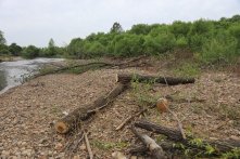 Полуторогодовалую Кристину Докучаеву ищут в Иркутске вторую неделю (Фоторепортаж)                            