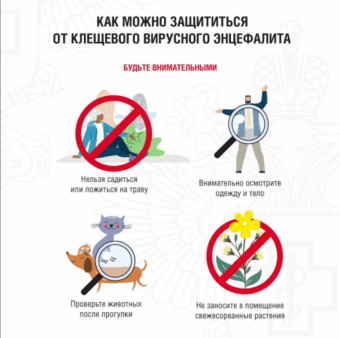 В&nbsp;Иркутской области более 10&nbsp;тысяч жителей обратились за&nbsp;медицинской помощью после укусов клещей                            