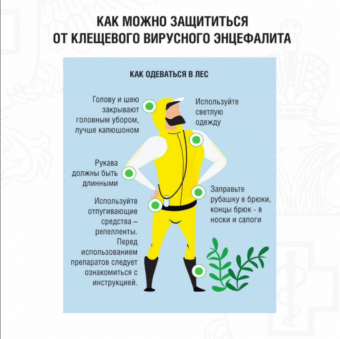 В&nbsp;Иркутской области более 10&nbsp;тысяч жителей обратились за&nbsp;медицинской помощью после укусов клещей                            