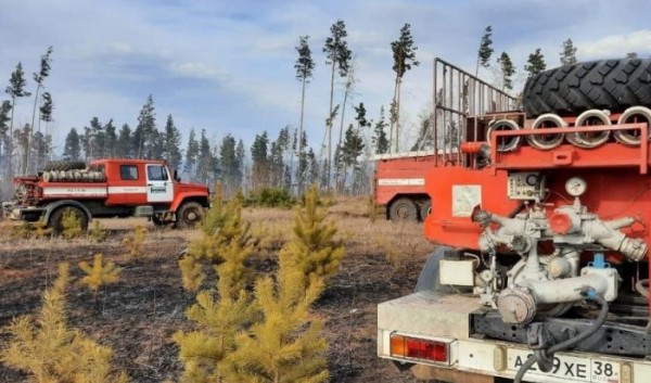 Три лесных пожара зарегистрировали и&nbsp;потушили в&nbsp;Иркутской области 7&nbsp;июня                            