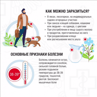 В&nbsp;Иркутской области более 10&nbsp;тысяч жителей обратились за&nbsp;медицинской помощью после укусов клещей                            