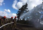 
                В Иркутской области за сутки потушили один лесной пожар
                
            