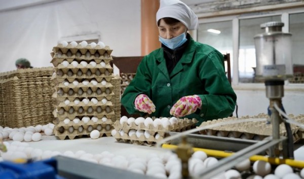 В&nbsp;Иркутской области увеличился объём экспорта продукции агропромышленного комплекса на&nbsp;9,3%                            