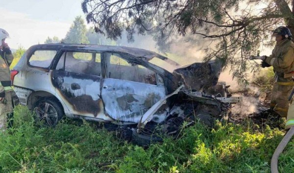 В&nbsp;Осинском районе водитель погиб, врезавшись в&nbsp;дерево                            