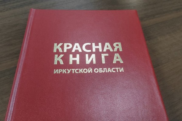 
                В Иркутской области выявляют редкие растения и животных
                
            