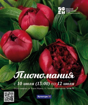 
            Пиономания
            
        