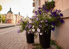 
                До +28 и кратковременный дождь ожидается в Иркутске на выходных
                
            