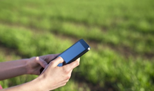 МегаФон улучшил покрытие LTE в Мамонах                            