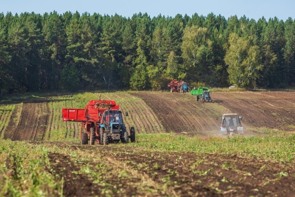 
			В Иркутском районе идет уборочная кампания		