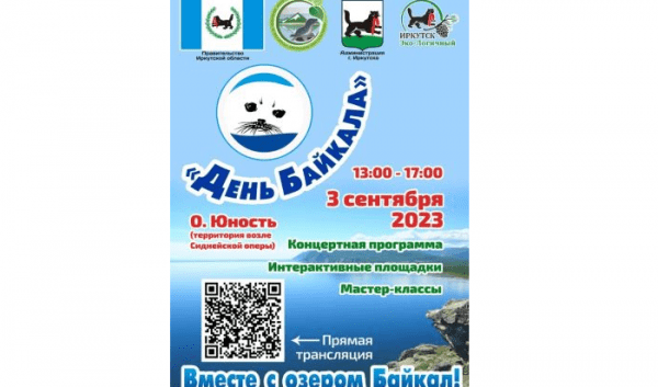 В&nbsp;Иркутске 3&nbsp;сентября пройдет Чемпионат по&nbsp;сбору пазлов                            