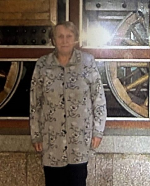 В Иркутске пропала 71-летняя пенсионерка                            