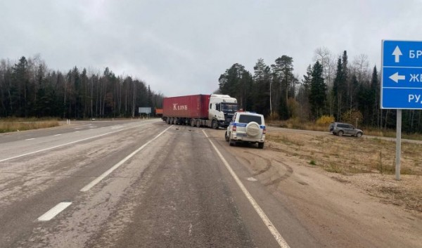 Два ребенка пострадали в&nbsp;аварии в&nbsp;Нижнеилимском районе                            
