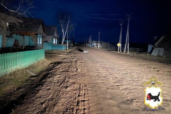 
                В Жигаловском районе двое подростков на мопеде врезались в лошадь
                
            