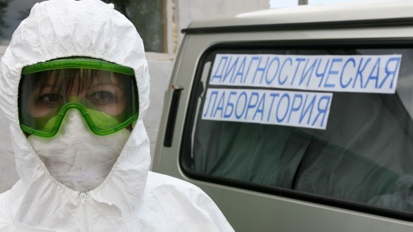 В якутской столовой обнаружили продукцию с геномом африканской чумы свиней