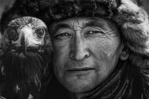 
            Под небом Монголии
            
        