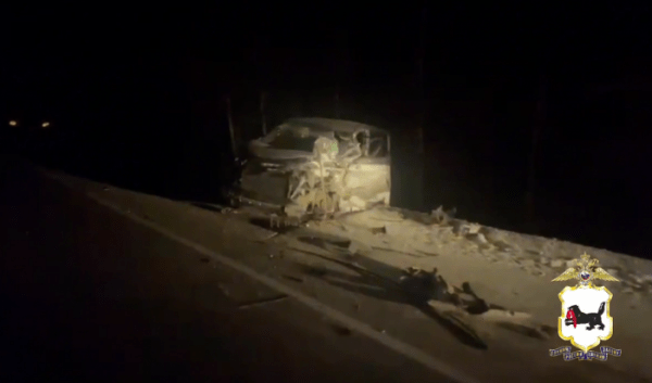 В ДТП в Аларском районе пострадали два человека                            