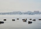 
                Небольшой снег и до -30 ожидается в Иркутске 13 декабря
                
            