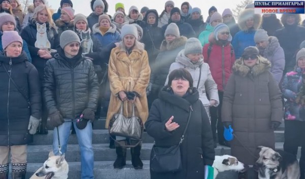 Иркутяне записали видеообращение к&nbsp;Путину и&nbsp;Кобзеву против убийства бездомных животных                            