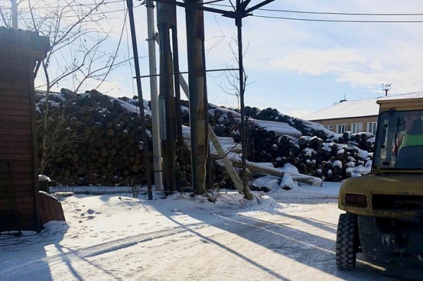 
                В Иркутской области возбудили уголовное дело о контрабанде леса на 60 миллионов рублей
                
            