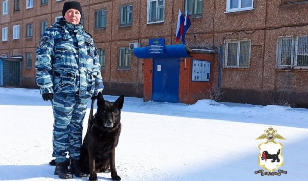 В Братске служебная собака помогла раскрыть кражу В Братске служебная собака помогла раскрыть кражу