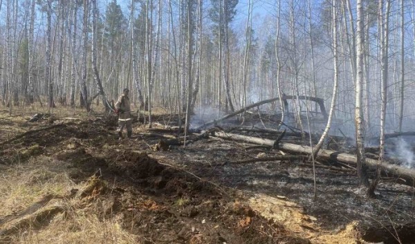 11 лесных пожаров потушили за сутки в Иркутской области                            