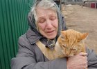 В Вихоревке спасли кота, двое суток просидевшего на столбе
В Вихоревке спасли кота, двое суток просидевшего на столбе