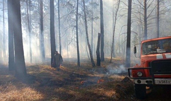 В Приангарье зафиксировали первые лесные пожары В Приангарье зафиксировали первые лесные пожары