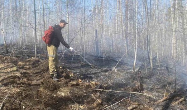 За&nbsp;прошедшие сутки в&nbsp;лесах Приангарья устранили 10&nbsp;пожаров                            