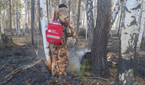 В&nbsp;Приангарье потушили 12&nbsp;лесных пожаров                            