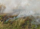 
                В Октябрьском округе Иркутска 26 апреля специалисты проведут отжиги сухой травы
                
            