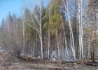 
                За сутки в Иркутской области потушили 12 лесных пожаров
                
            