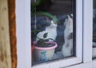 
                В Иркутске синоптики прогнозируют отсутствие осадков и до +9 днем 17 апреля
                
            
