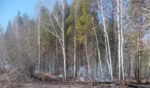 Один лесной пожар потушили в Приангарье за сутки Один лесной пожар потушили в Приангарье за сутки